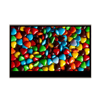 Monitor portatile touchscreen da 15,6 pollici alimentato a batteria per aziende e integrazione di sistemi